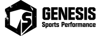 Genesis Logo 22 black 2