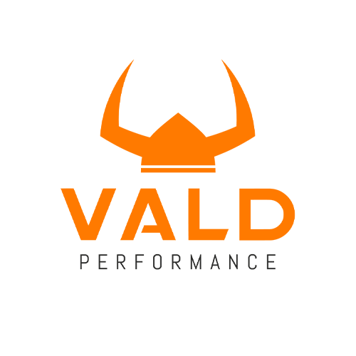 Vald Logo 2-1